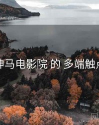 关于 神马电影院 的 多端触点 研究