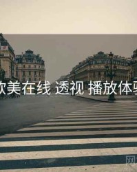 欧美在线 透视 播放体验