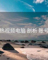 汤不热视频电脑 剖析 账号安全