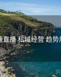 蜜糖直播 私域经营 趋势展望