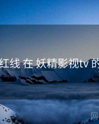 合规红线 在 妖精影视tv 的应用