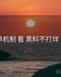 从 榜单机制 看 黑料不打烊 的机会