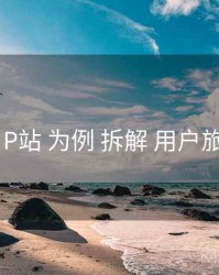 以 P站 为例 拆解 用户旅程
