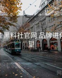 全景扫描 黑料社官网 品牌进化 趋势展望