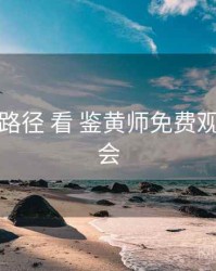从 实操路径 看 鉴黄师免费观看 的机会