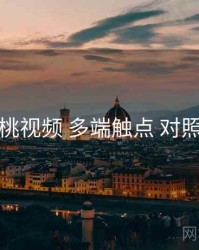 蜜桃视频 多端触点 对照表