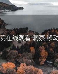 努努影院在线观看 洞察 移动端适配