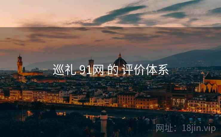 巡礼 91网 的 评价体系
