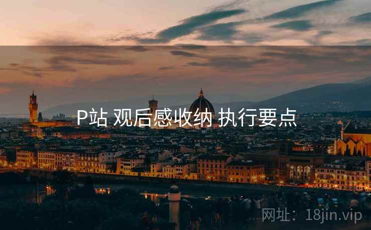 P站 观后感收纳 执行要点