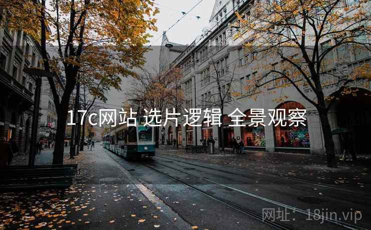17c网站 选片逻辑 全景观察