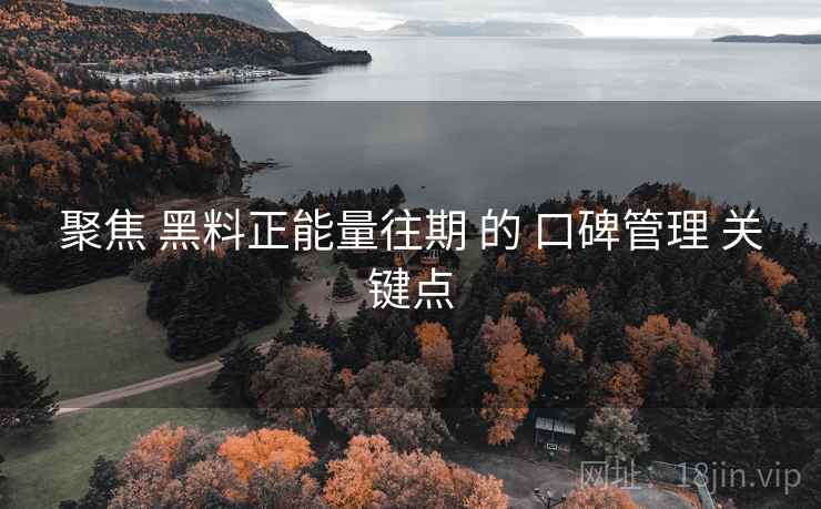 聚焦 黑料正能量往期 的 口碑管理 关键点