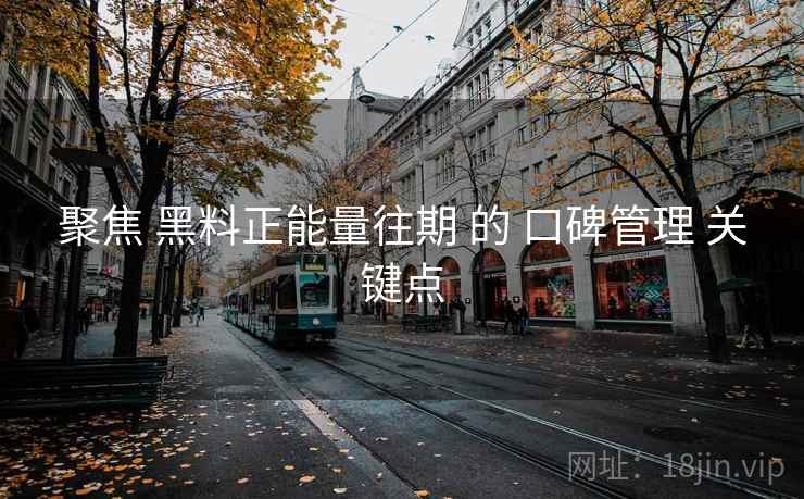 聚焦 黑料正能量往期 的 口碑管理 关键点
