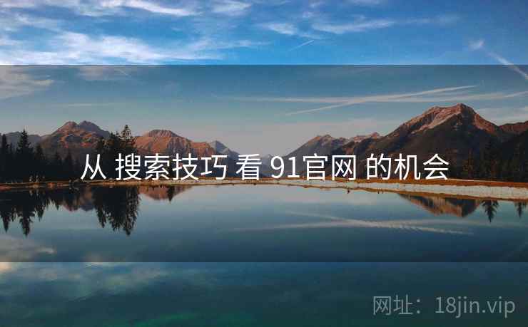 从 搜索技巧 看 91官网 的机会