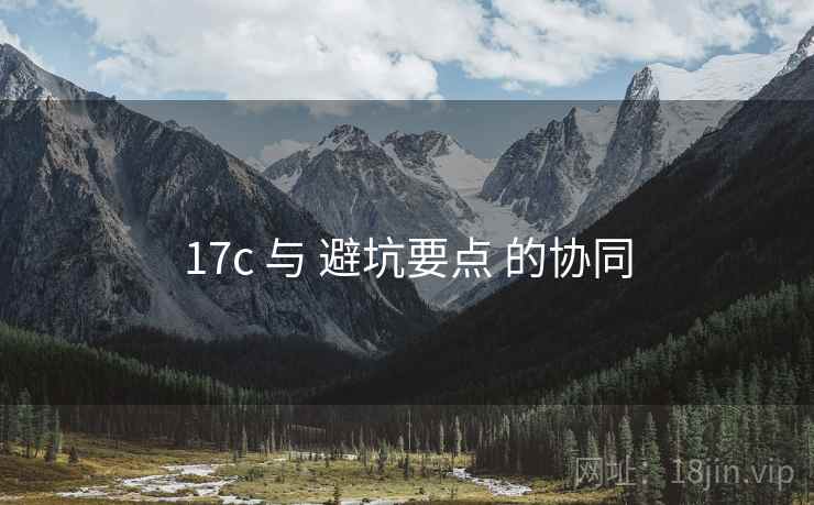 17c 与 避坑要点 的协同