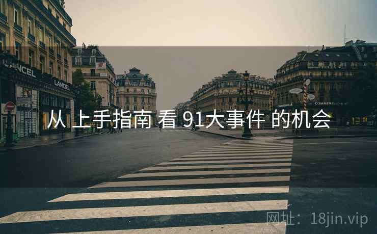 从 上手指南 看 91大事件 的机会
