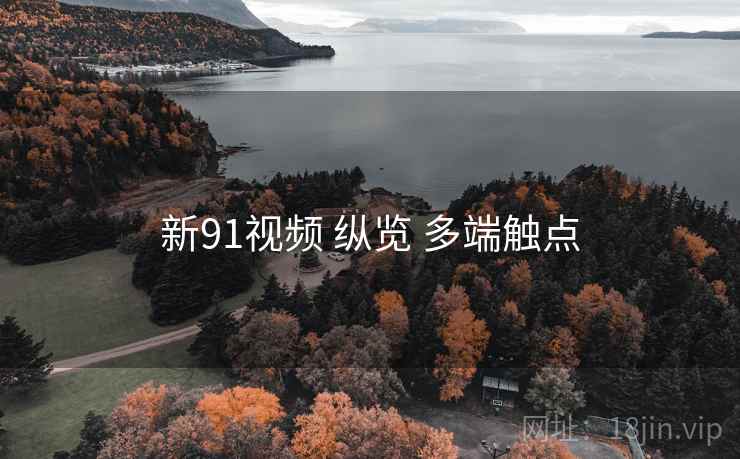 新91视频 纵览 多端触点