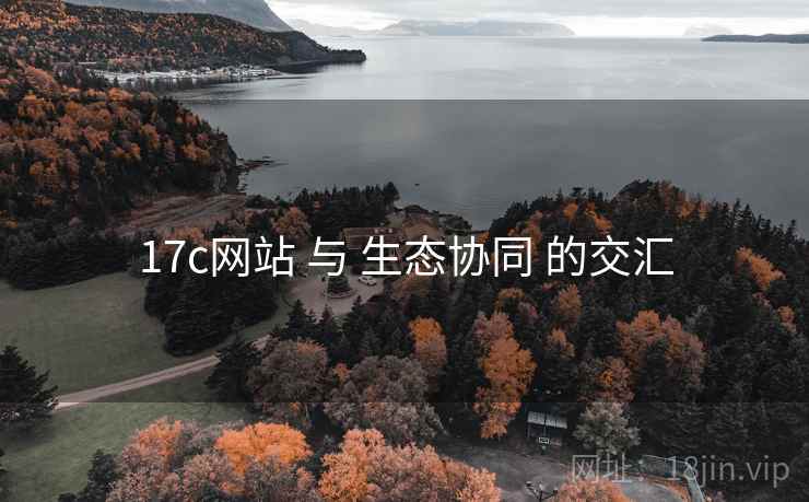 17c网站 与 生态协同 的交汇