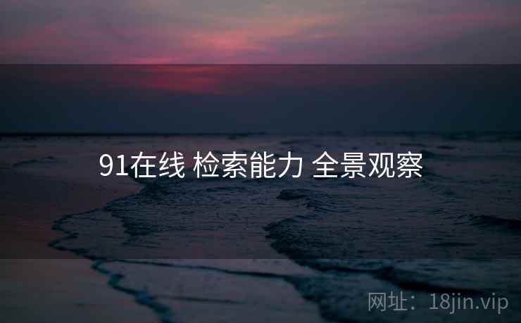 91在线 检索能力 全景观察