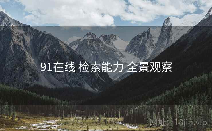 91在线 检索能力 全景观察