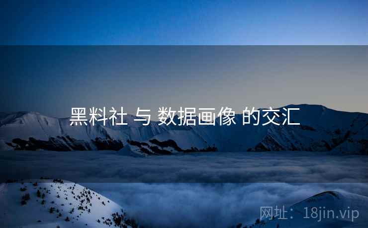 黑料社 与 数据画像 的交汇