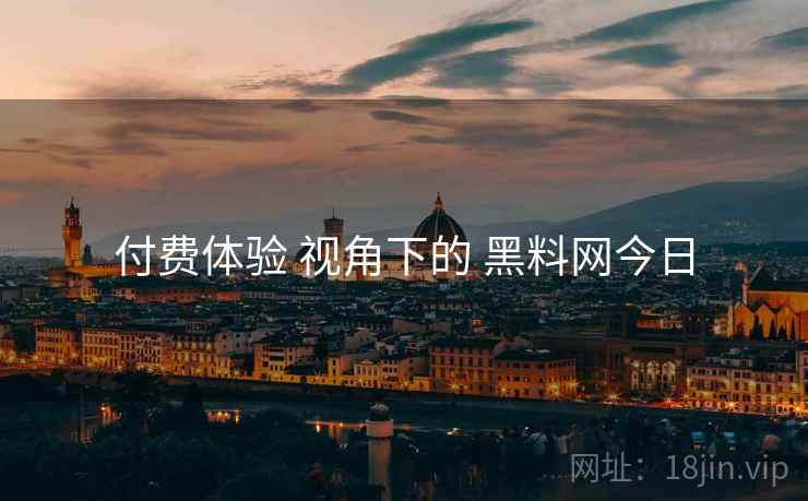 付费体验 视角下的 黑料网今日