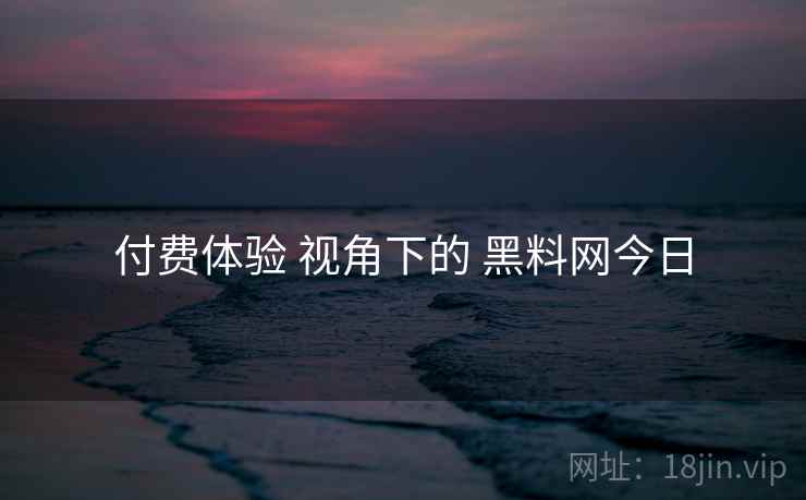 付费体验 视角下的 黑料网今日