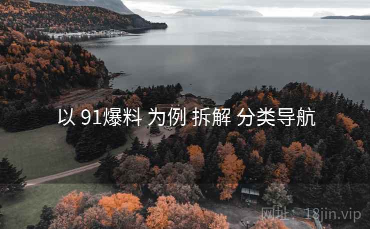以 91爆料 为例 拆解 分类导航
