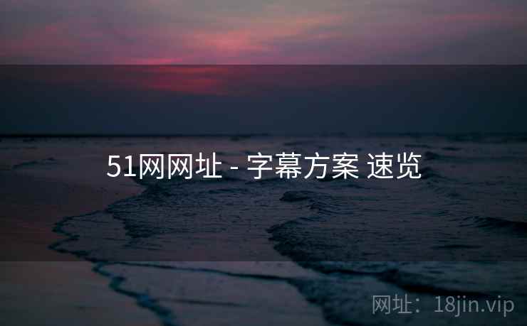 51网网址 - 字幕方案 速览