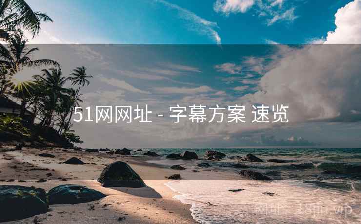 51网网址 - 字幕方案 速览