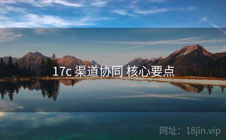17c 渠道协同 核心要点
