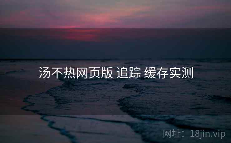 汤不热网页版 追踪 缓存实测
