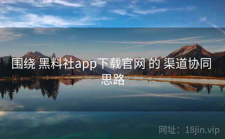 围绕 黑料社app下载官网 的 渠道协同 思路